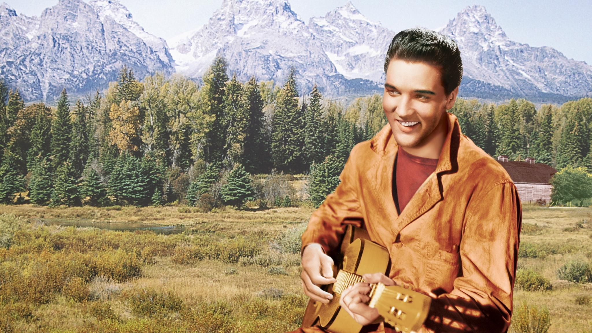 Wild in the Country 1961 movie scene