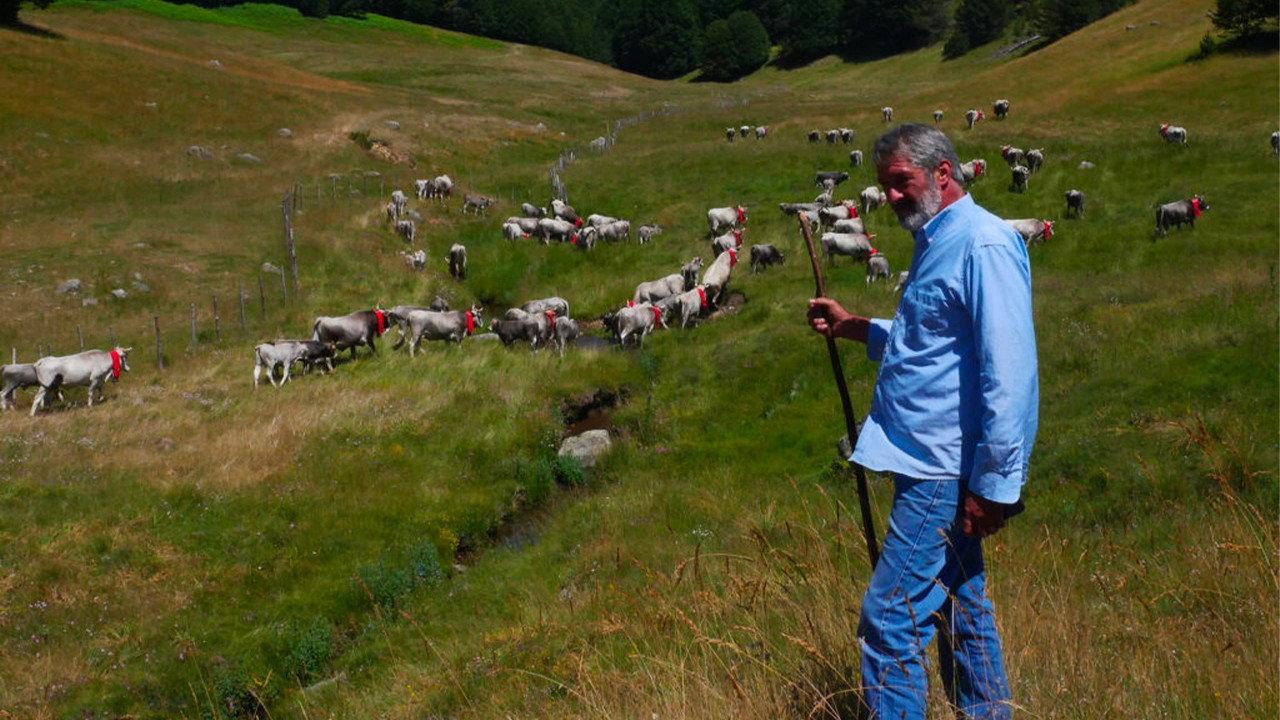 Figli del Minotauro / Storie di Uomini e Animali 2022 movie scene
