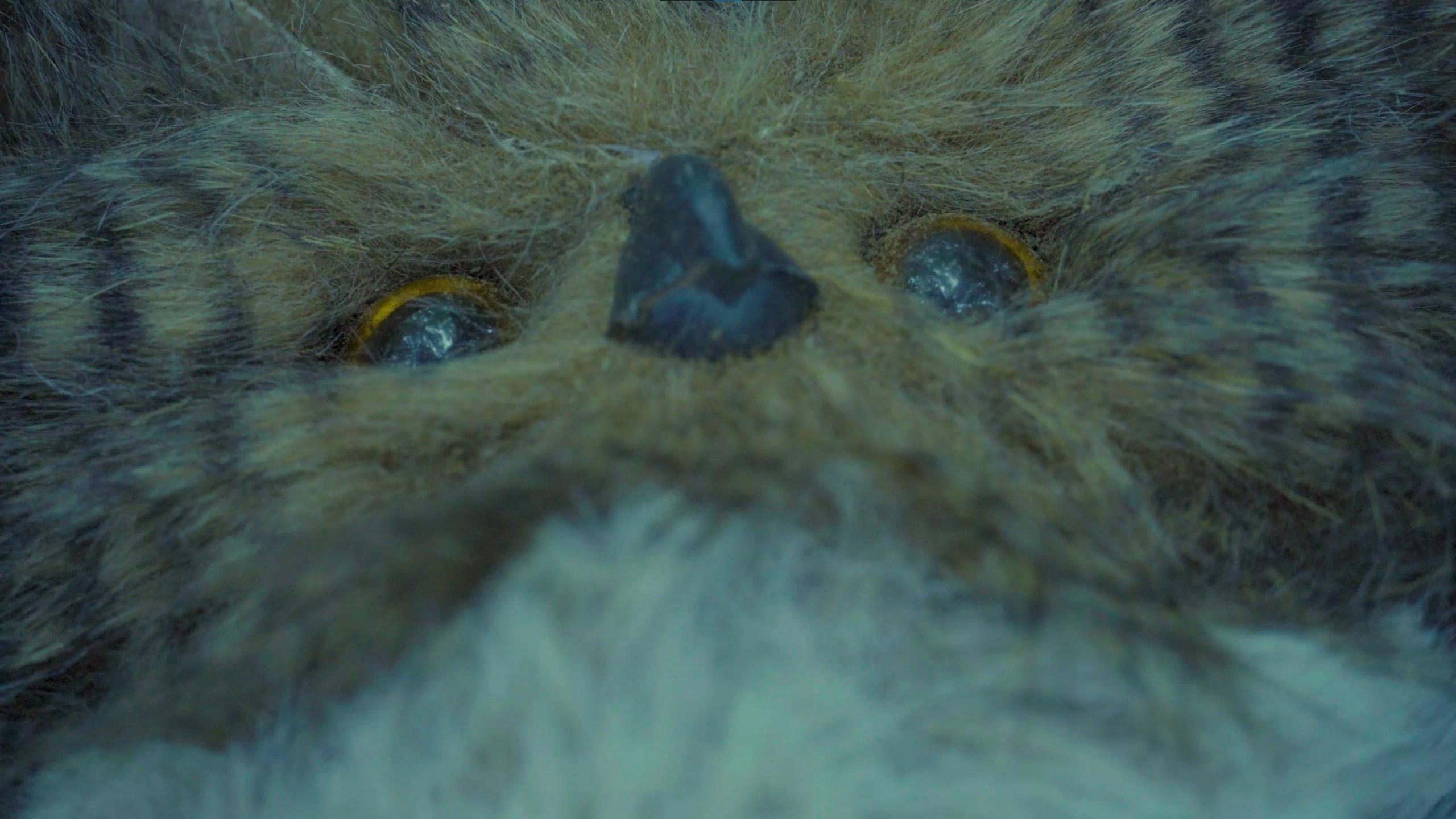 Hoot 2020 movie scene