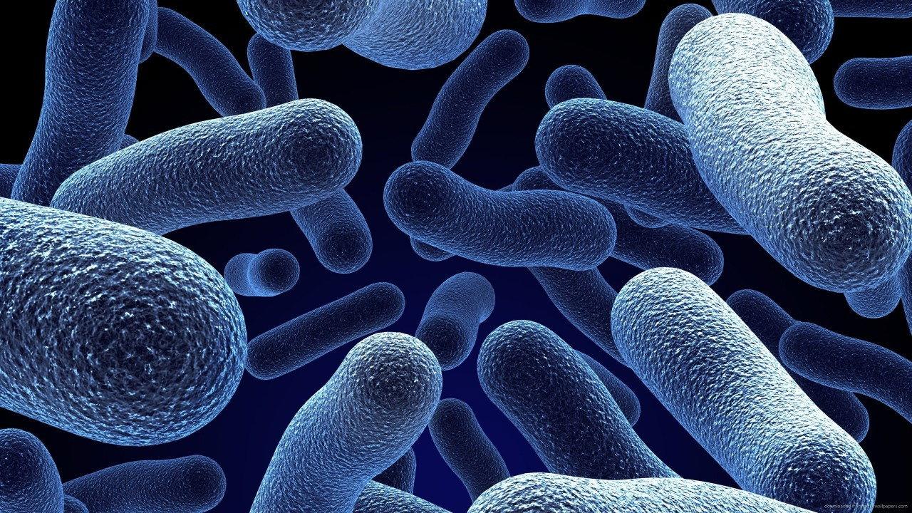 Bacterial World 2016 movie scene
