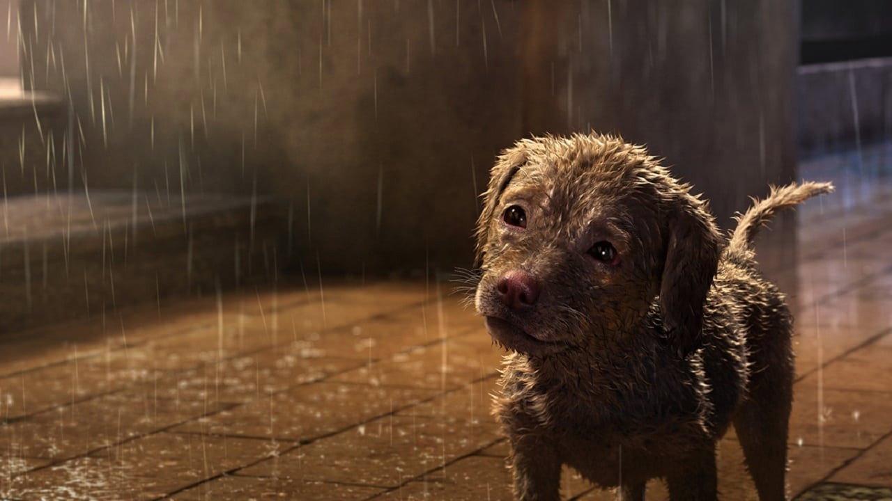 A Dog's Life 2017 movie scene