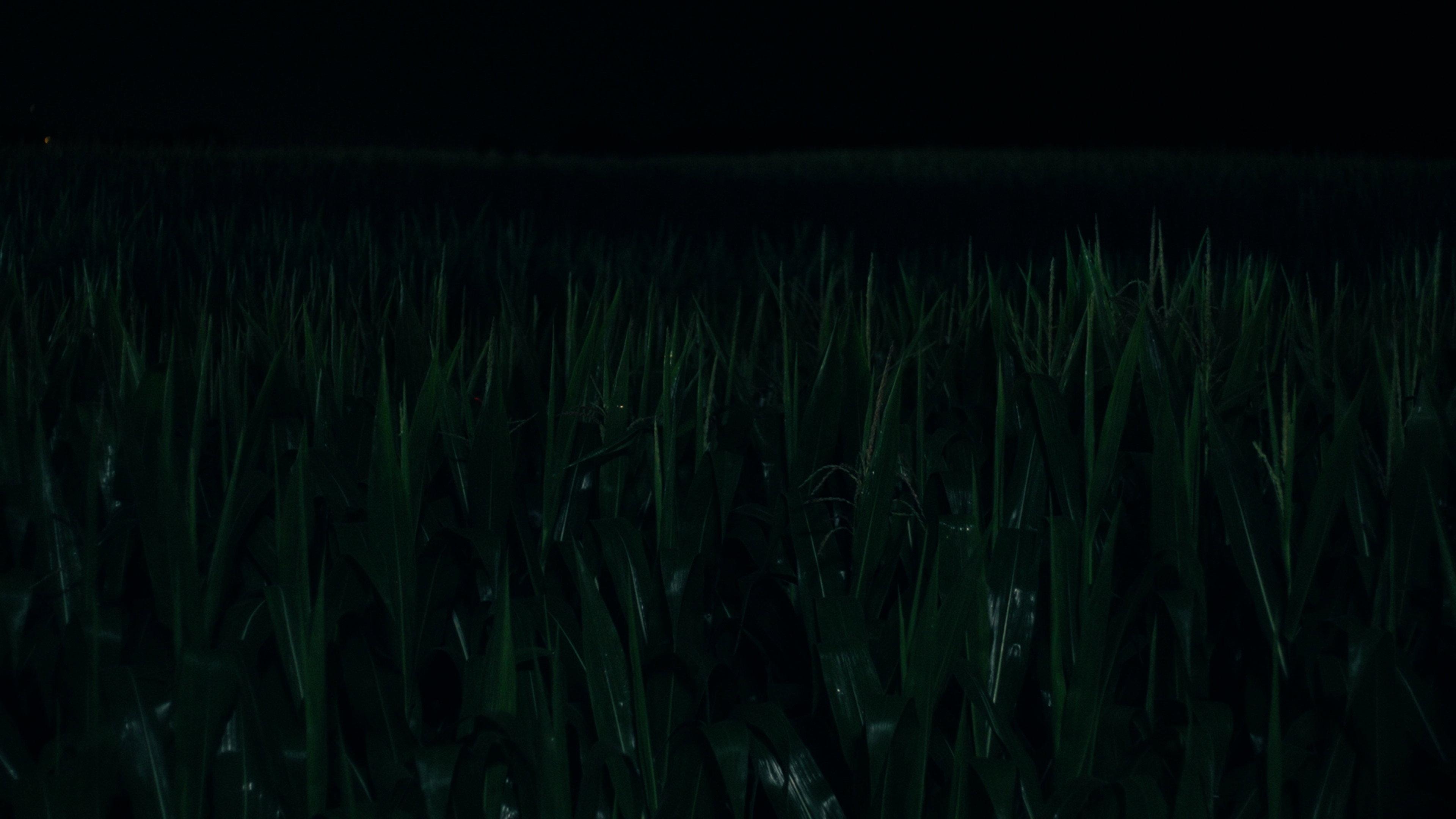 The Bleeding Truth  movie scene