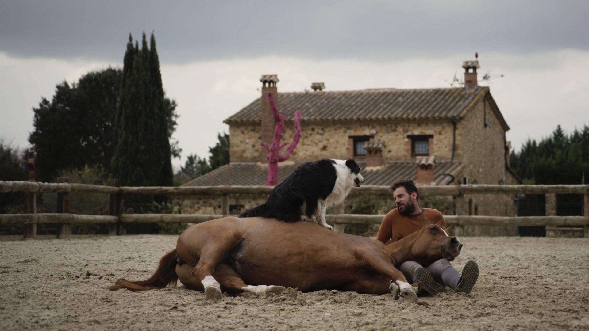 Hermano caballo 2023 movie scene