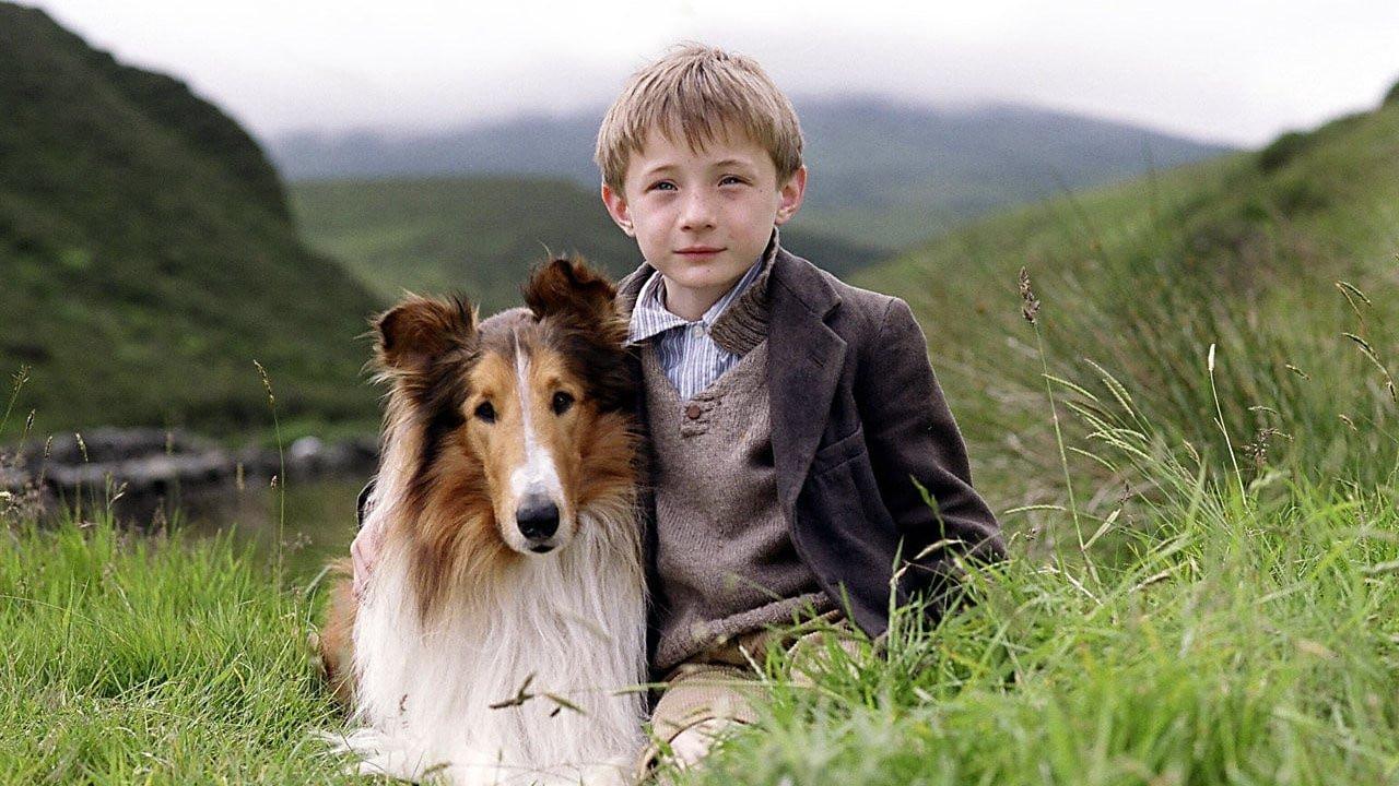 Lassie 2005 movie scene