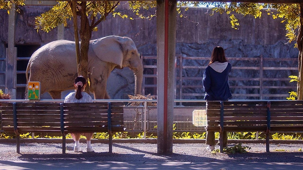 Women in the Zoo 2022 movie scene