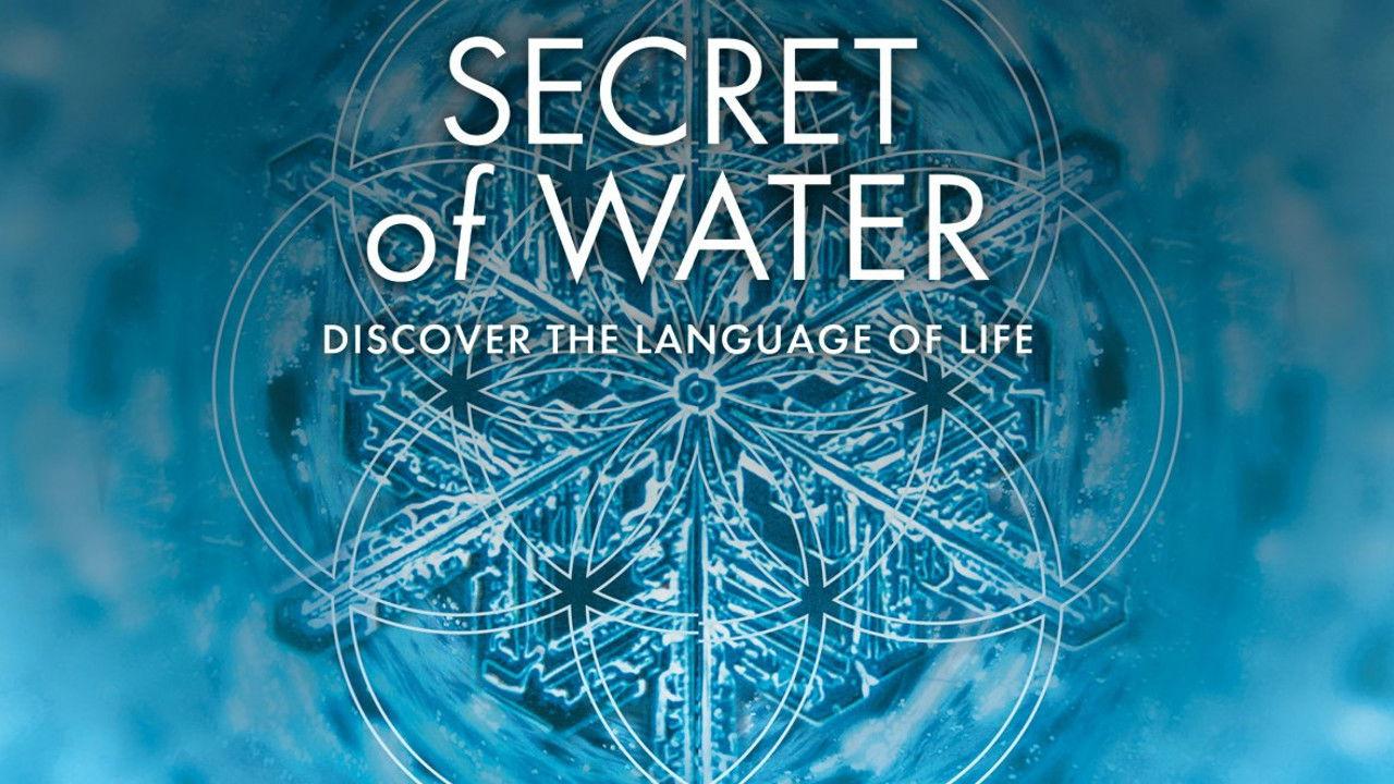 Secret of Water 2015 movie scene