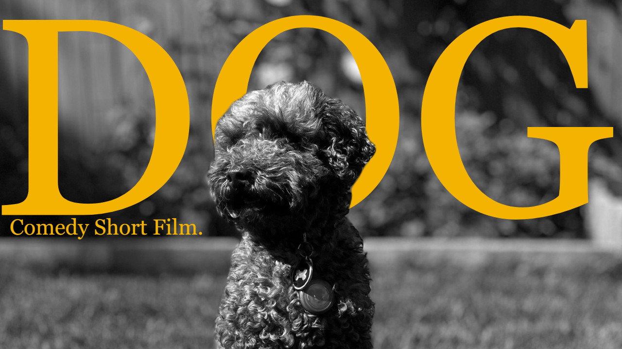 Dog (The Mockumentary) 2024 movie scene