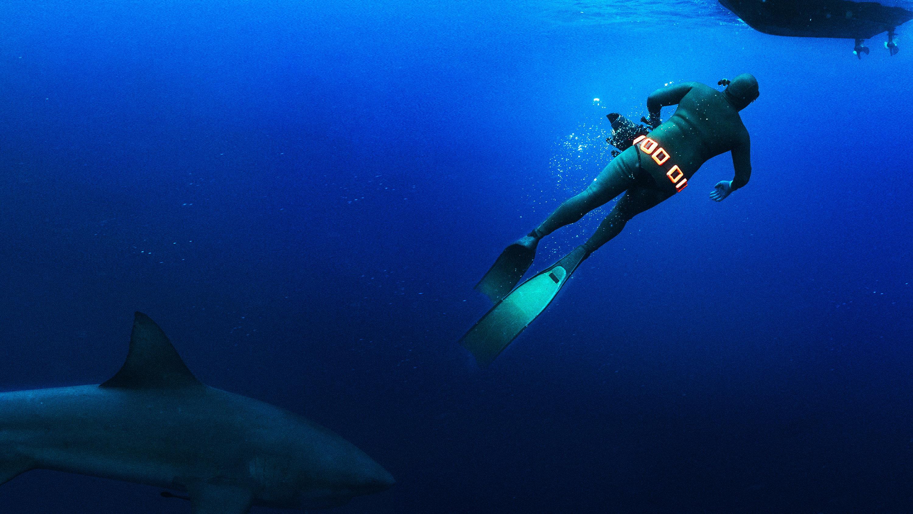 Secrets of the Bull Shark 2020 movie scene