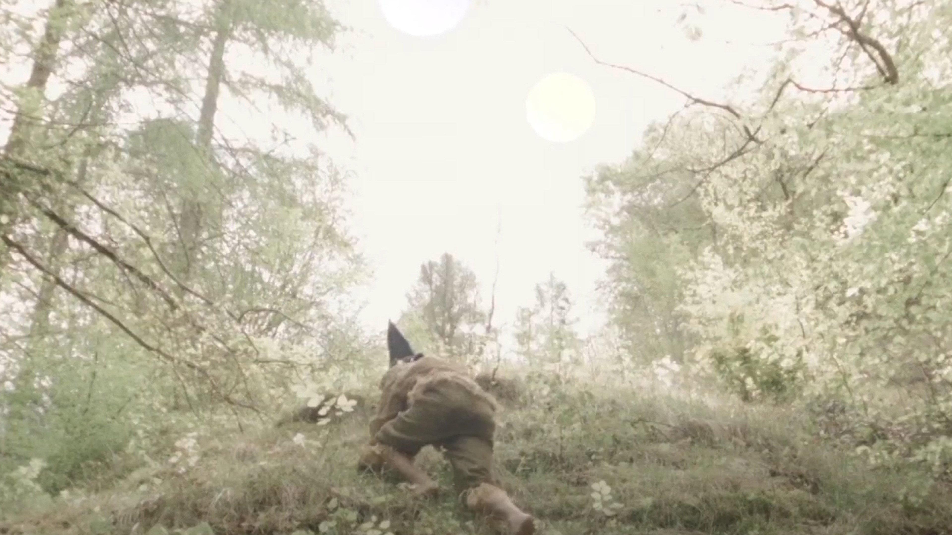 Rover of Meadow's Advent 2019 movie scene