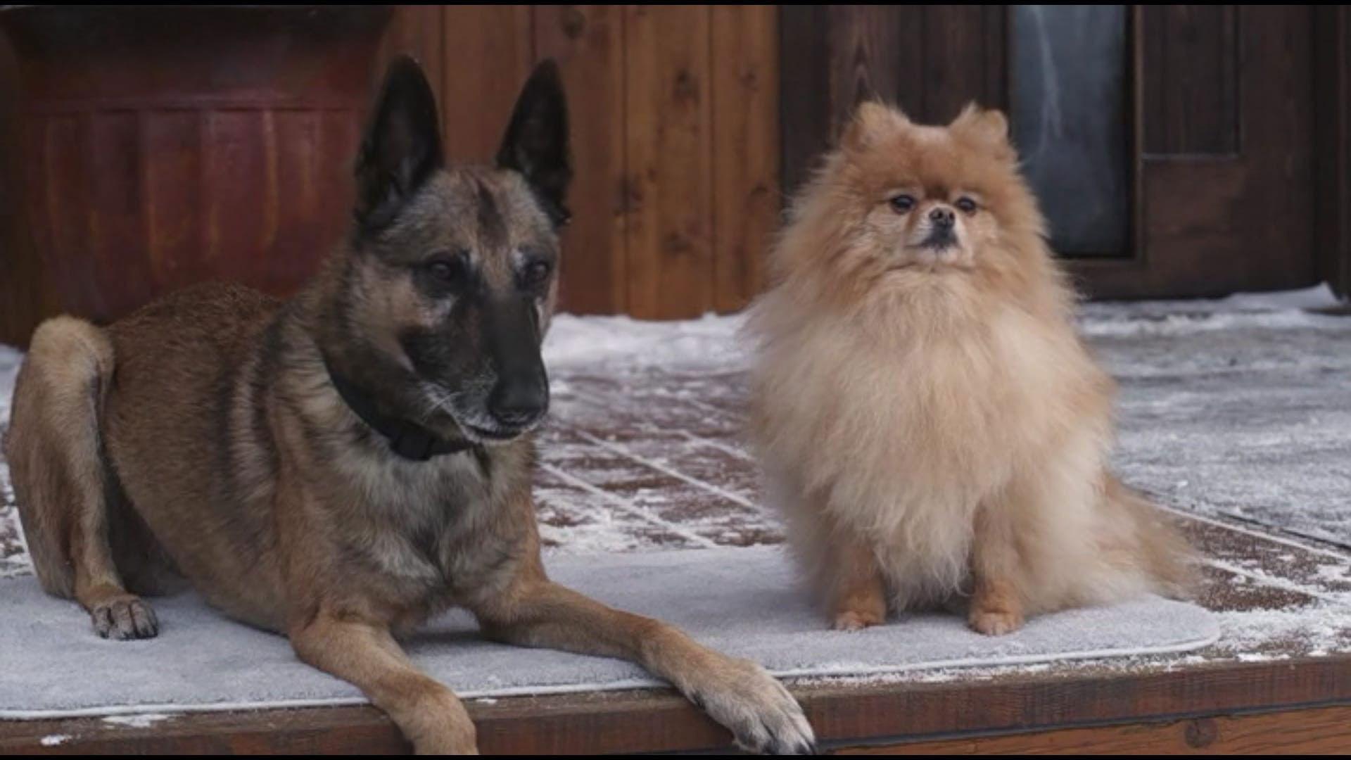 Step Dogs 2013 movie scene