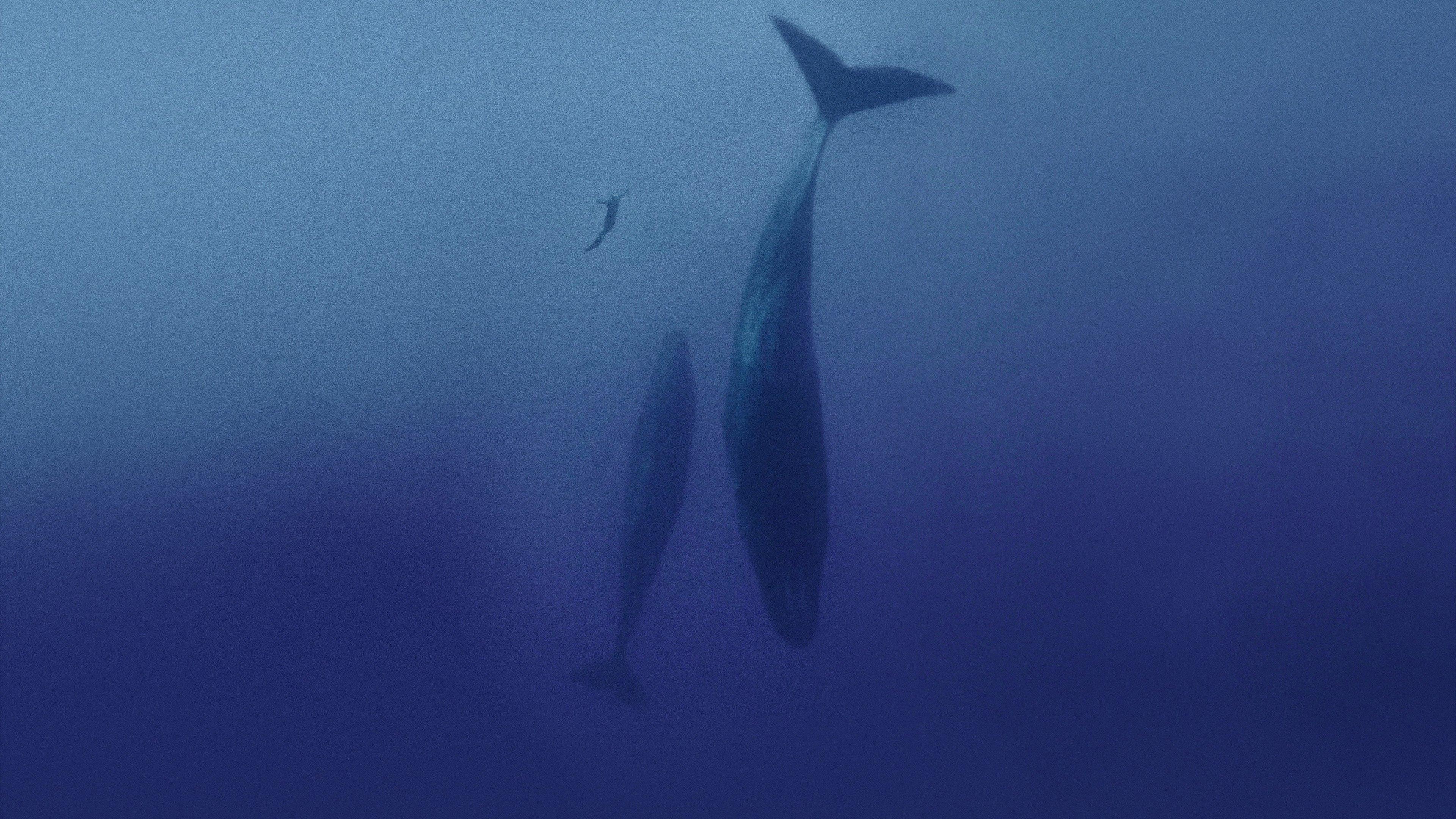 Freediver 2024 movie scene