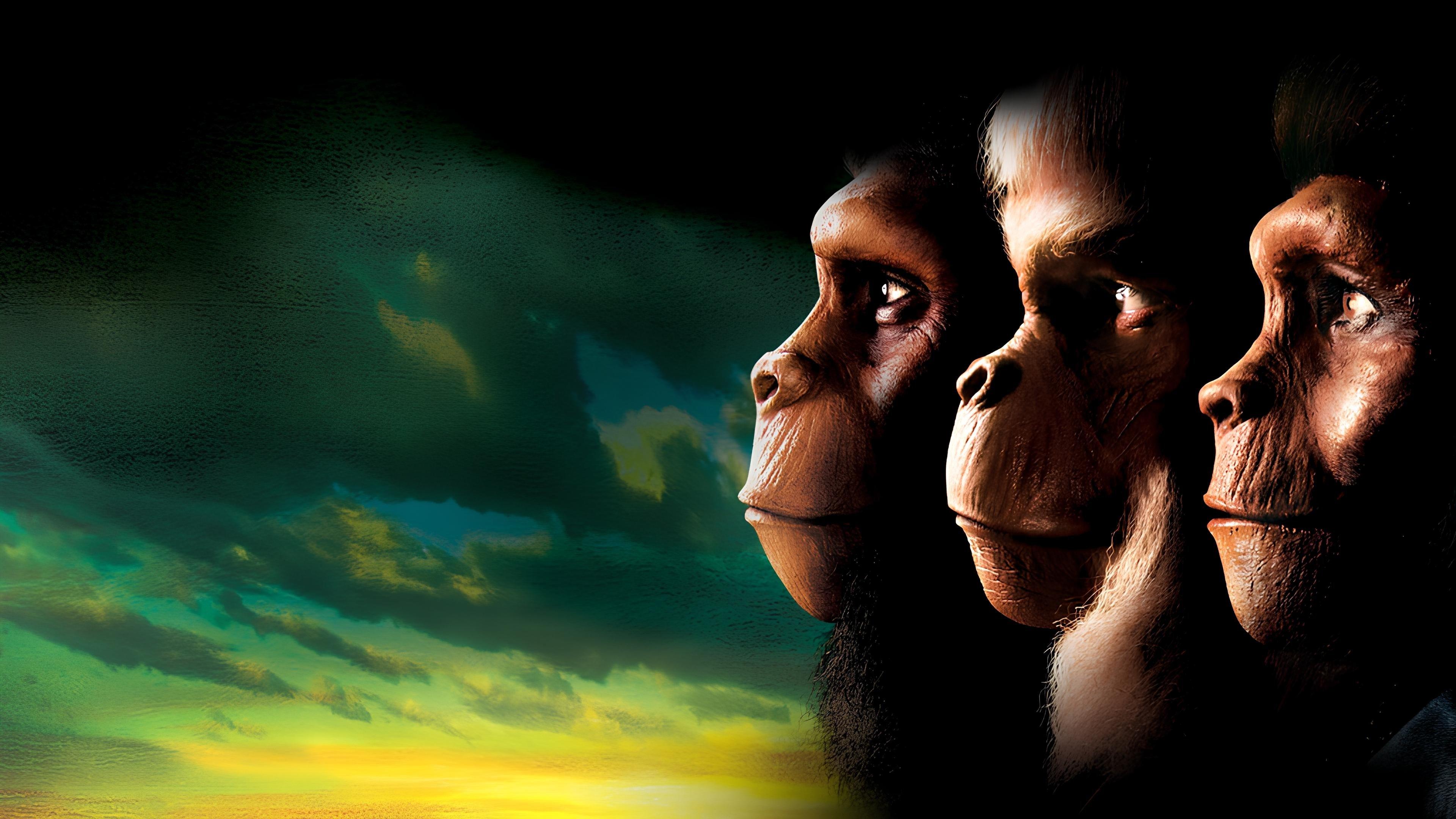 Planet of the Apes 1968 movie scene