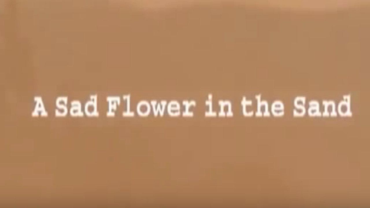 A Sad Flower in the Sand 2001 movie scene