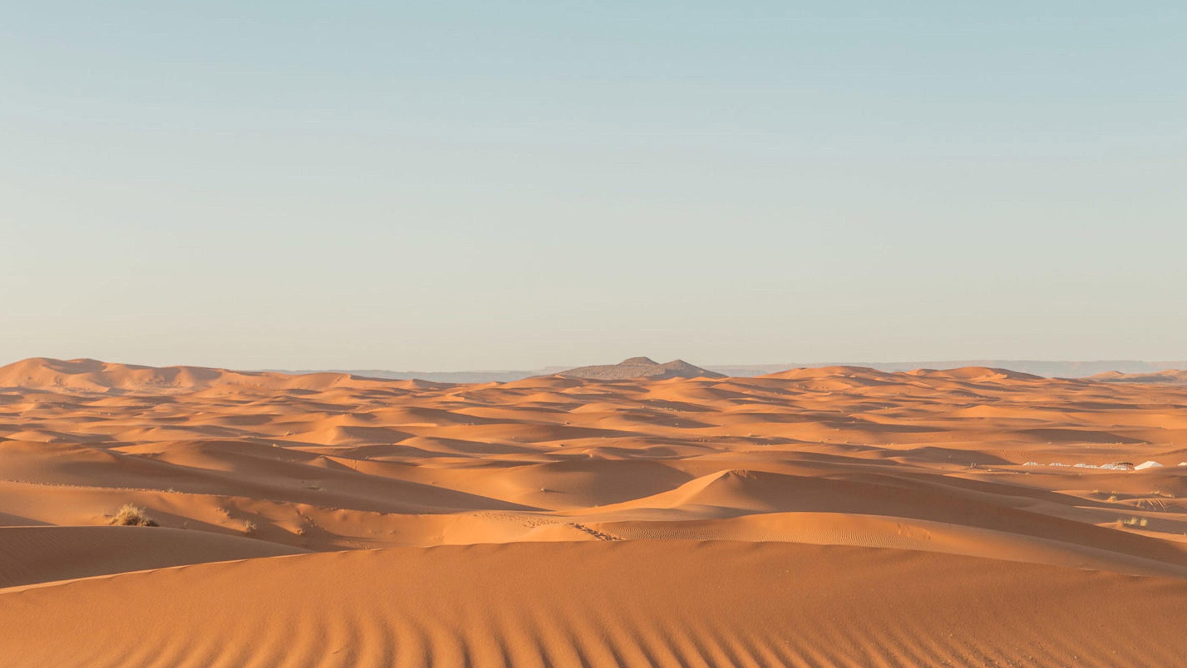 Sahara Swing 2015 movie scene