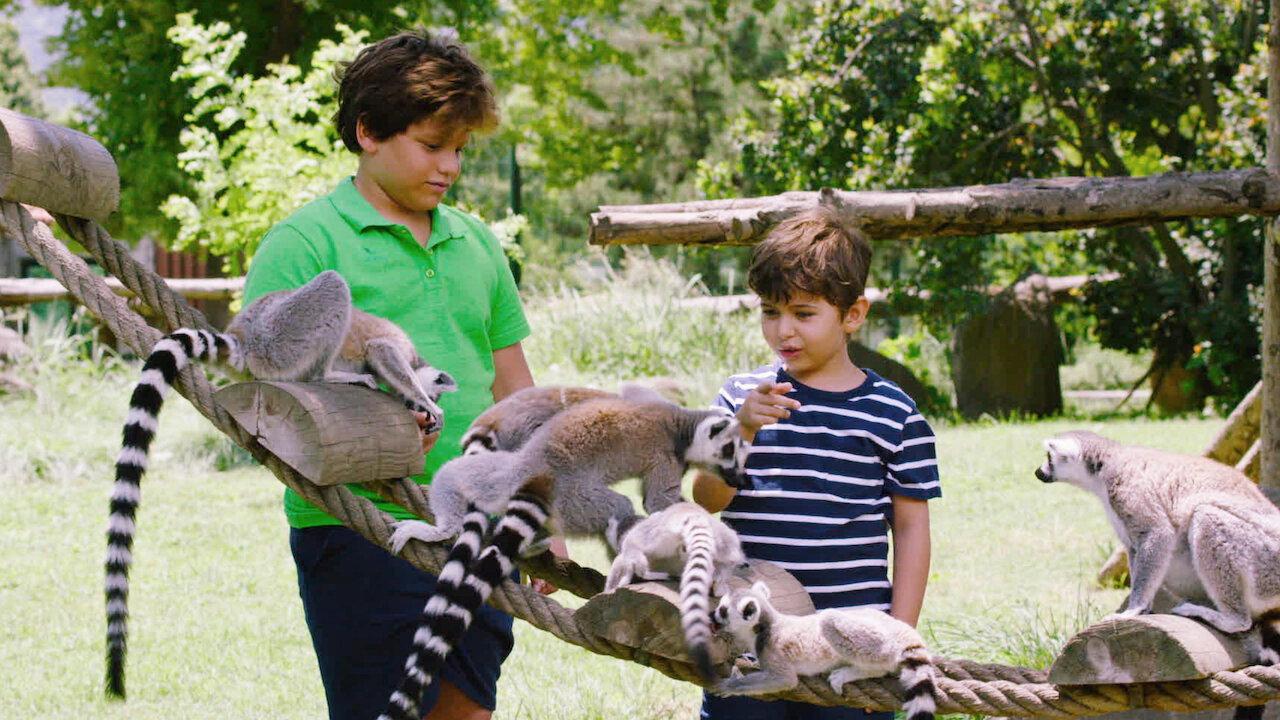Talking Animals 2019 movie scene