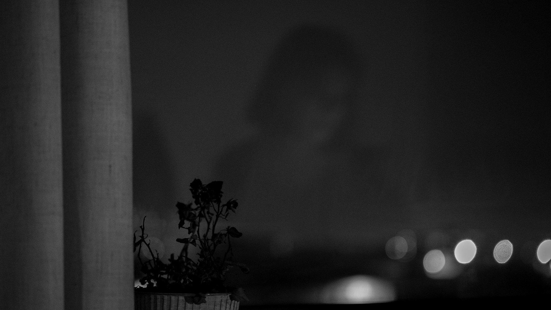 Memories of a Window 2026 movie scene