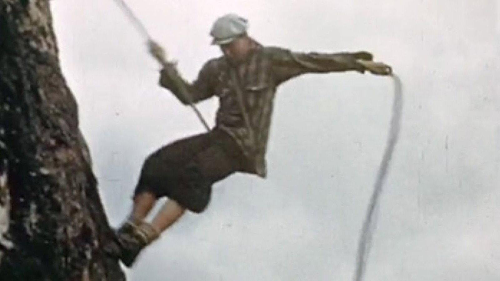 Ascent of the Tooth 1940 movie scene