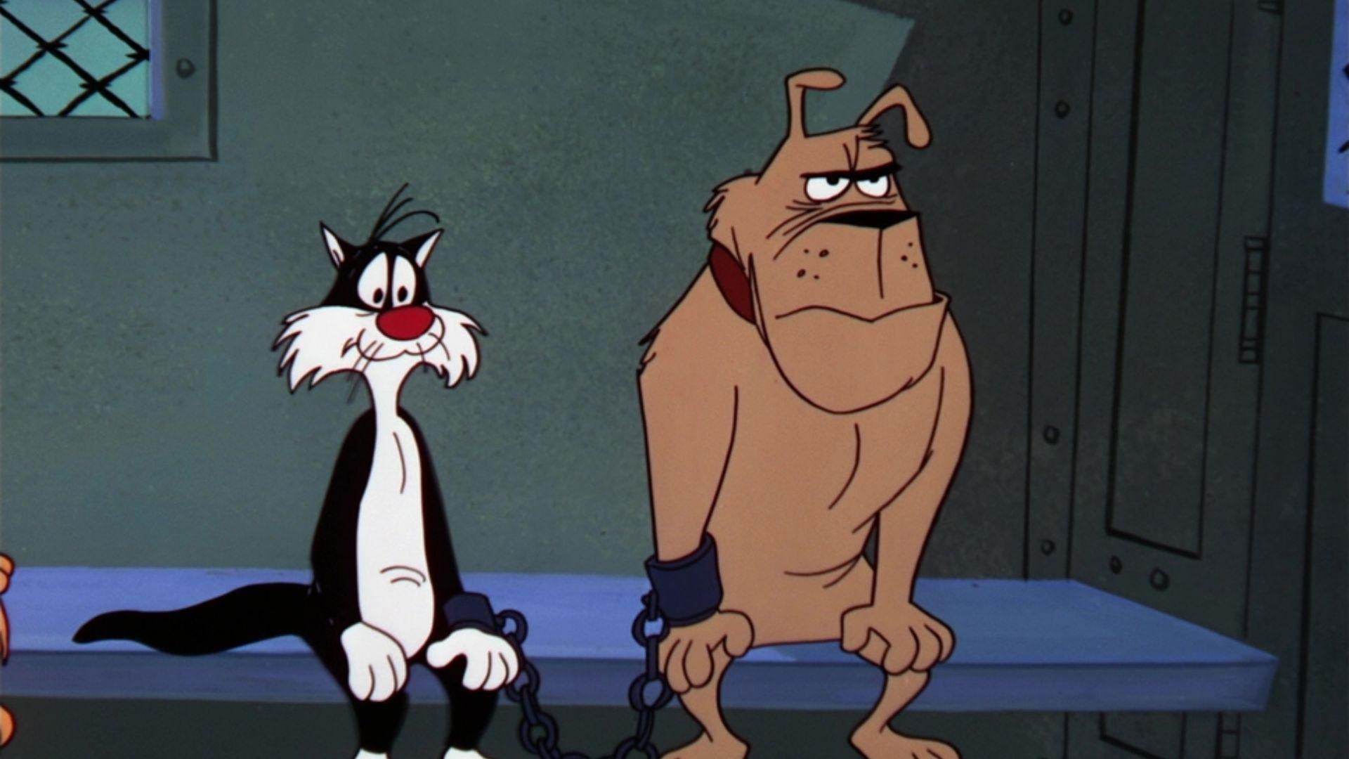 D' Fightin' Ones 1961 movie scene