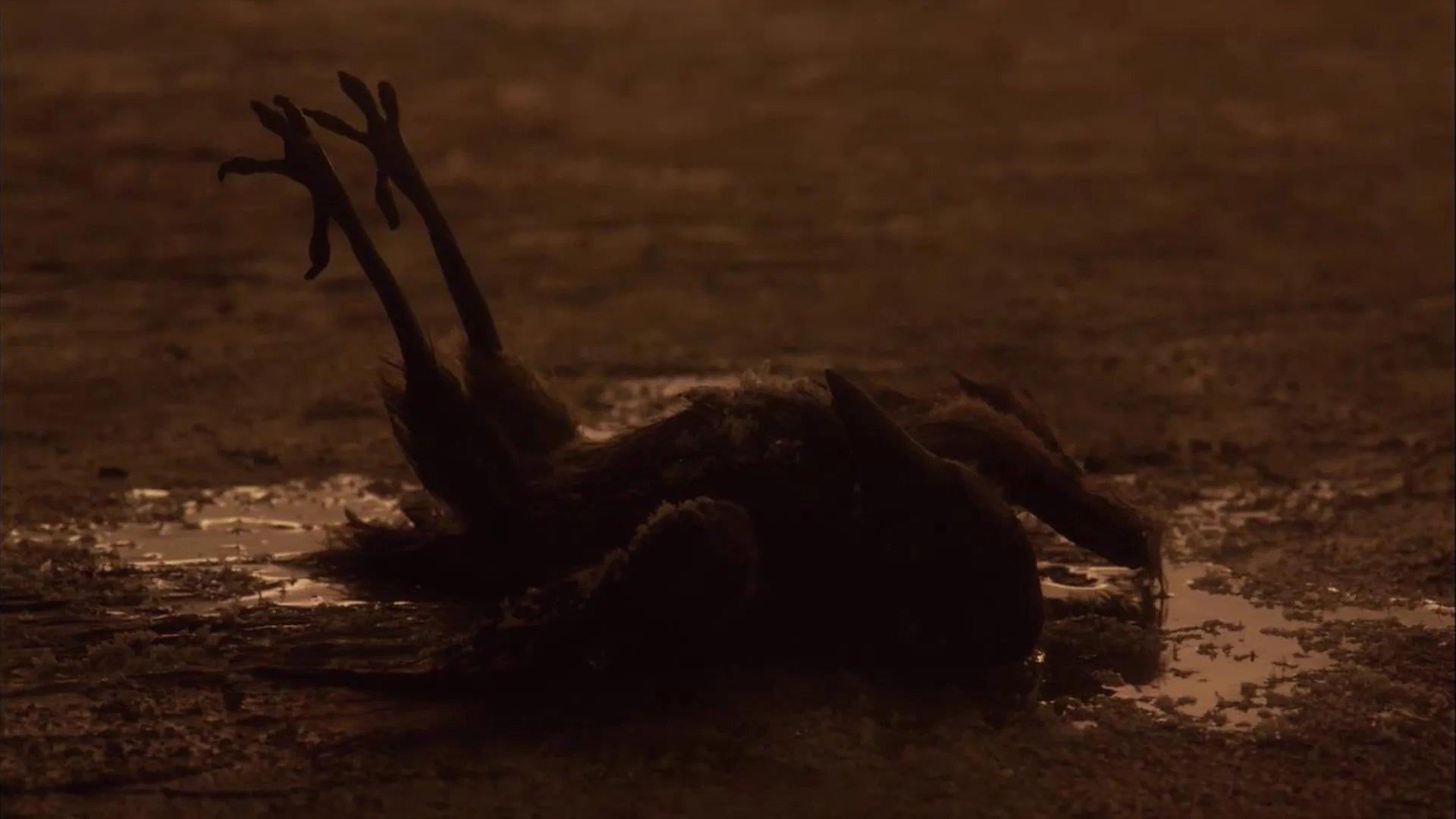 Sororal 2019 movie scene