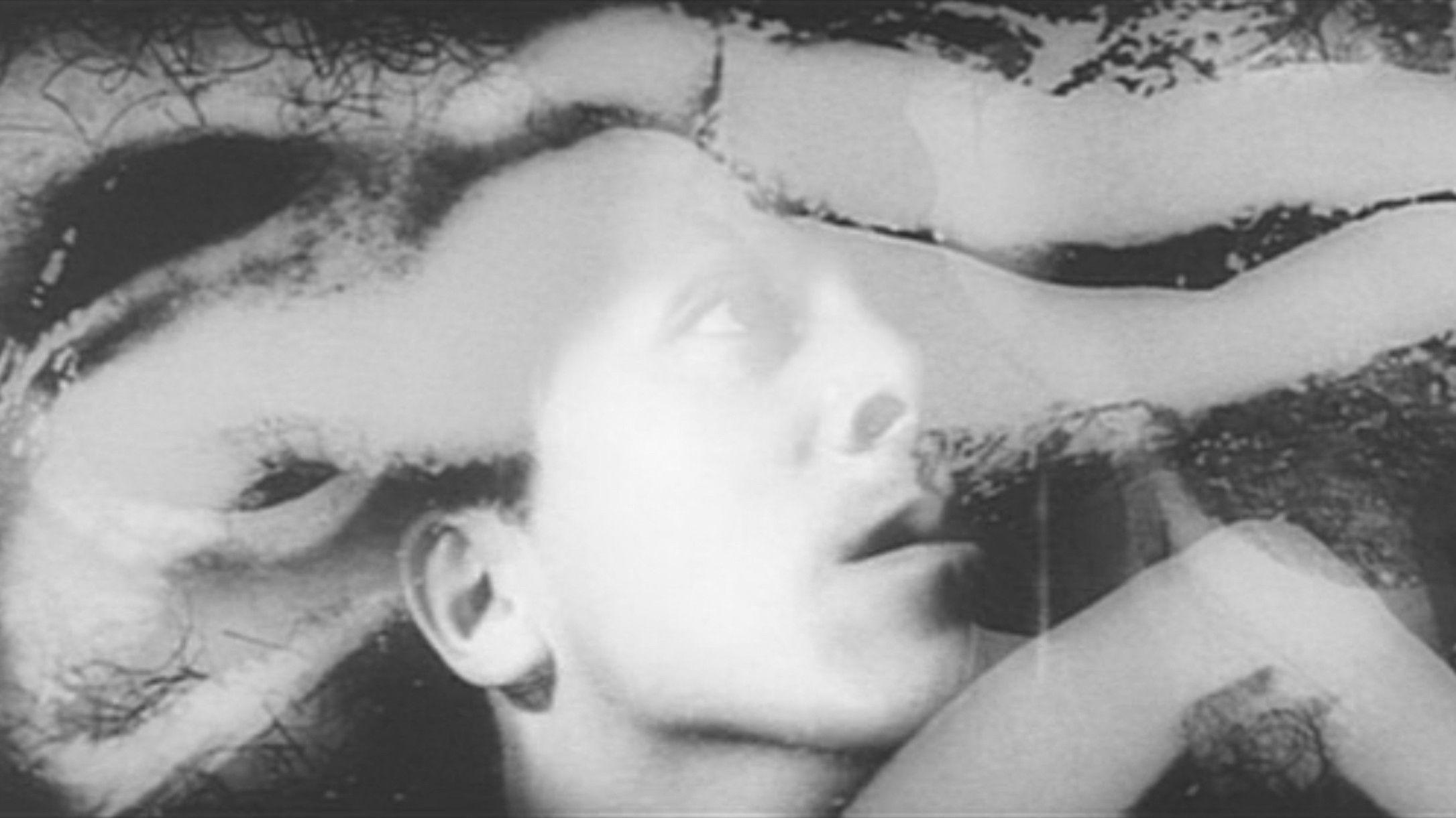 The Embryo Hunts in Secret 1966 movie scene