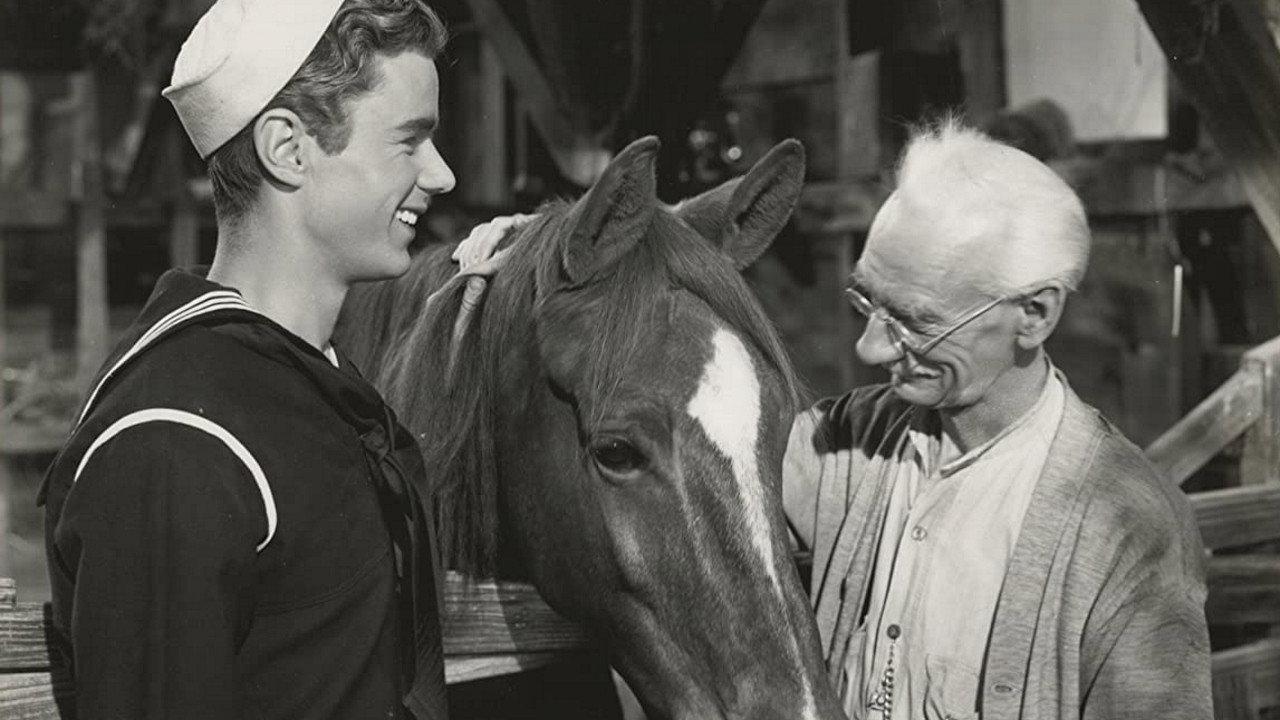 Gallant Bess 1946 movie scene