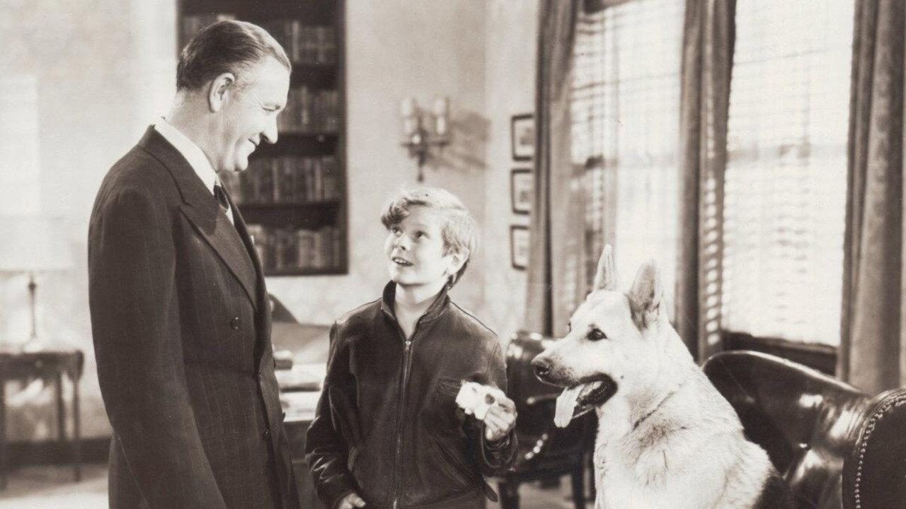 Adventures of Rusty 1945 movie scene