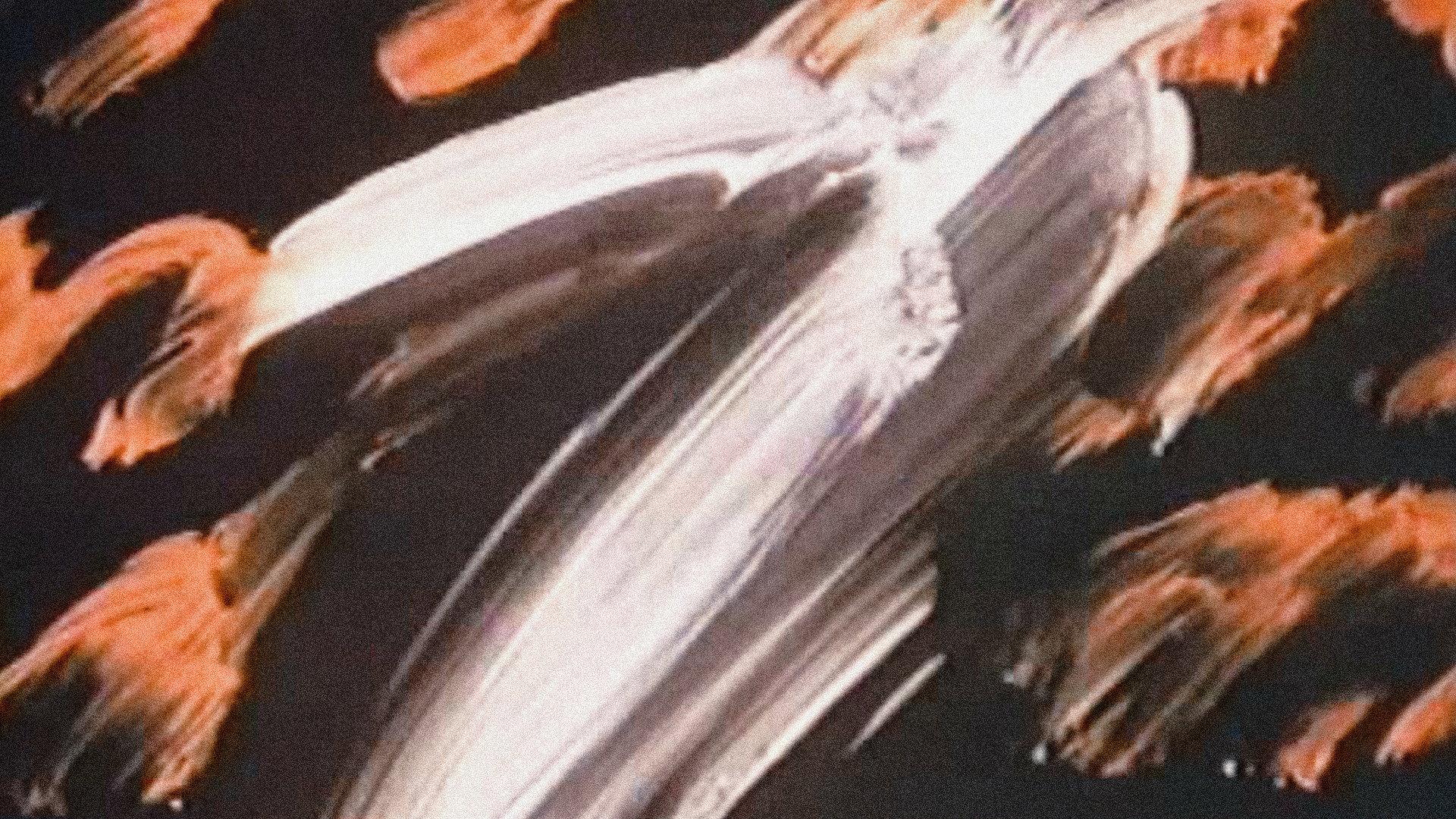 Academy Leader Variations 1987 movie scene