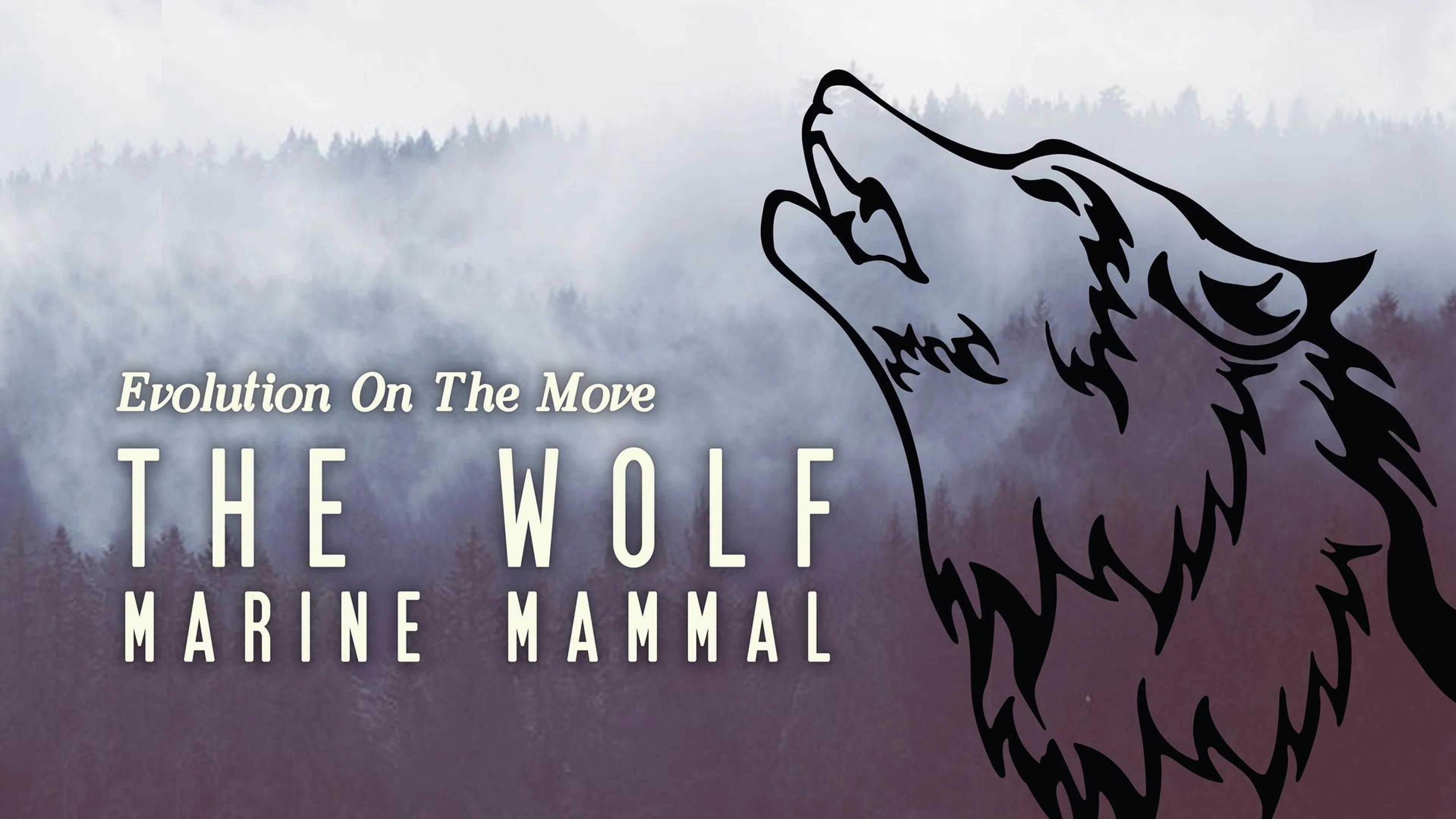 The Wolf: Marine Mammal 2014 movie scene