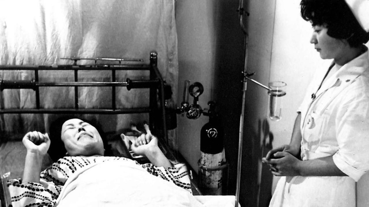 Sei to seishoku no shinpi 1964 movie scene