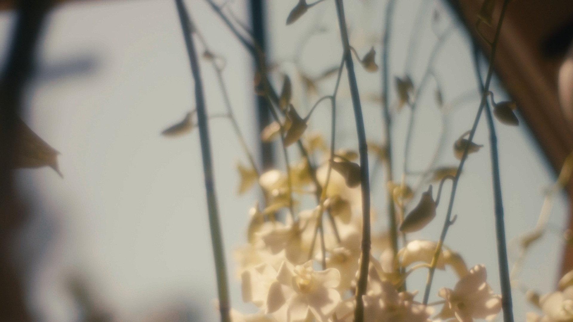 Wedding Flowers 2026 movie scene