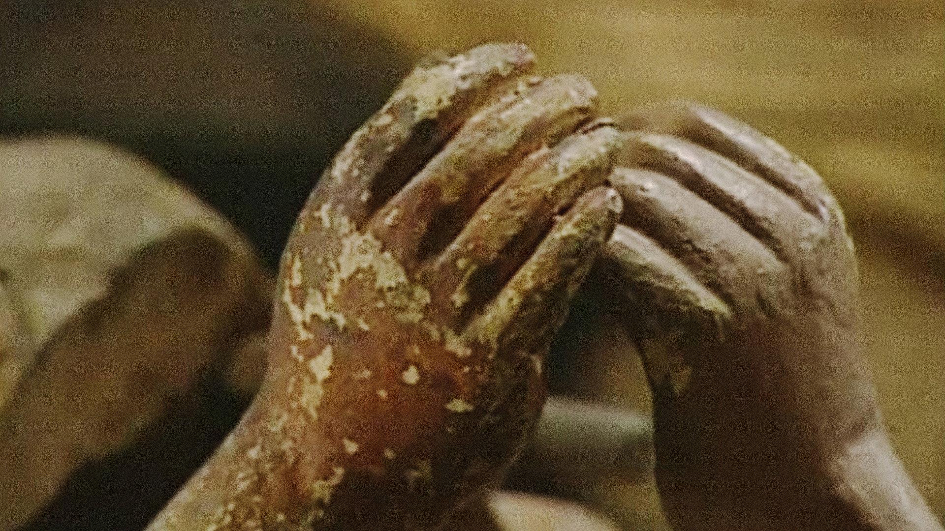 Born Again 2001 movie scene