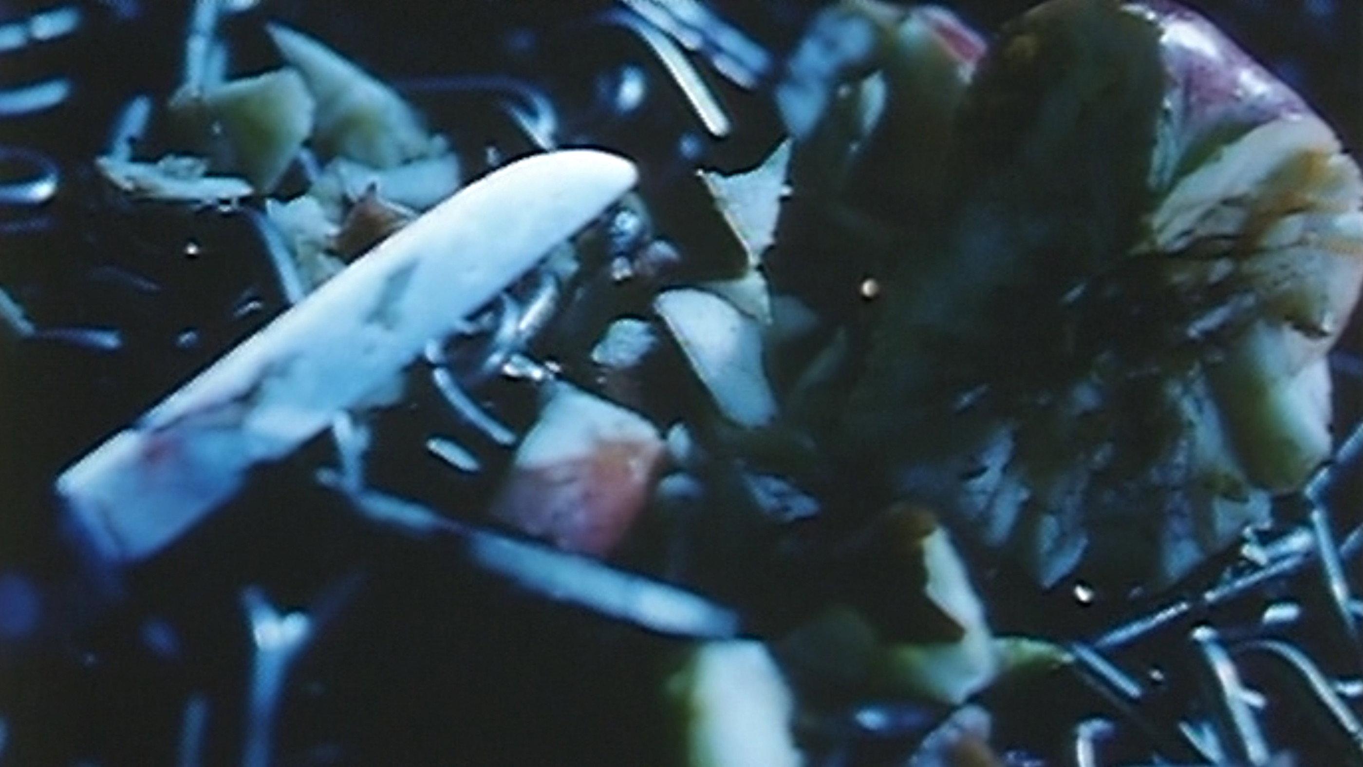 Sabaku 2000 movie scene