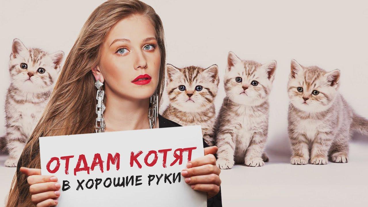 Free Kittens to Good Home 2012 movie scene