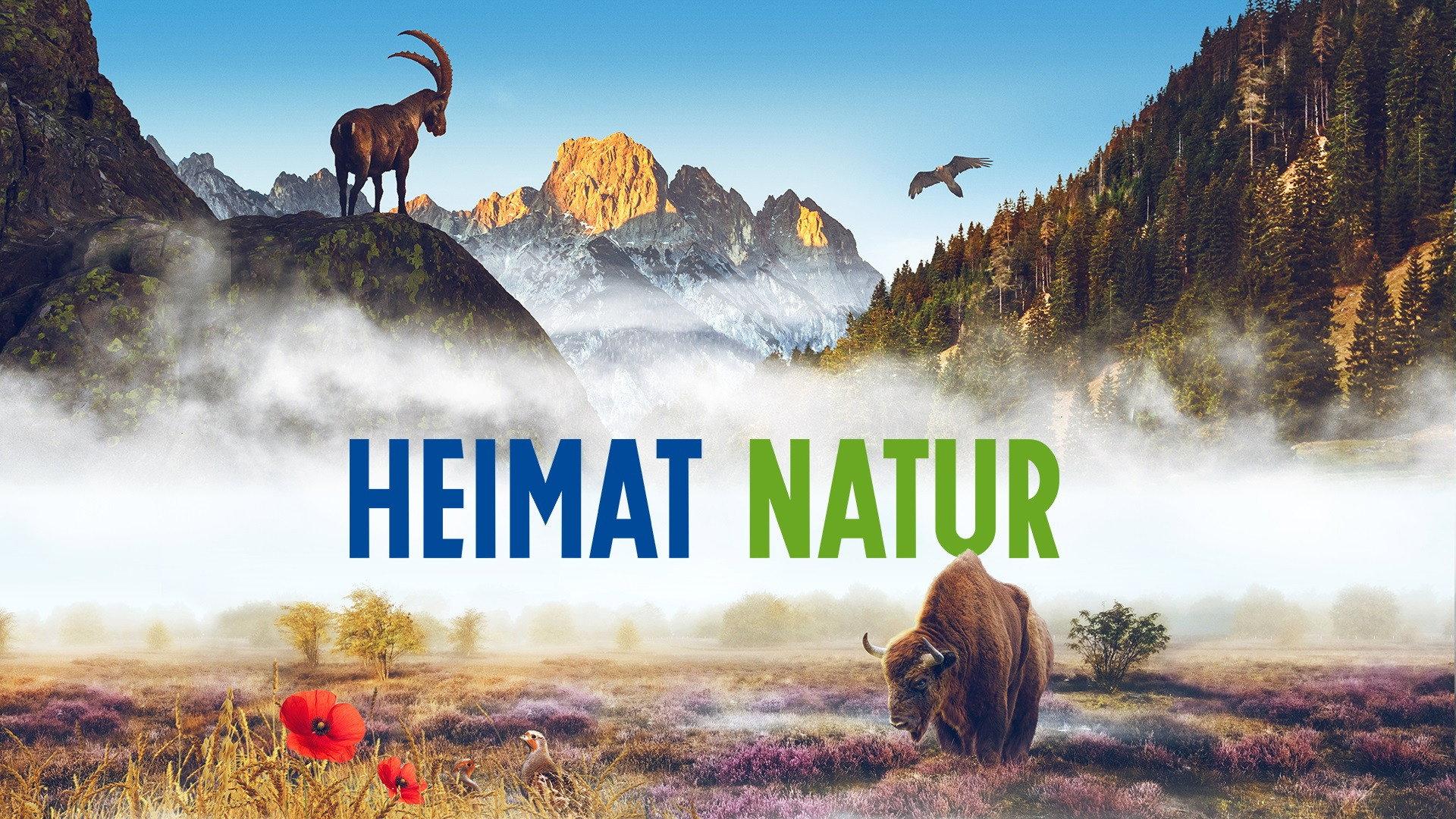 Homeland Nature 2021 movie scene