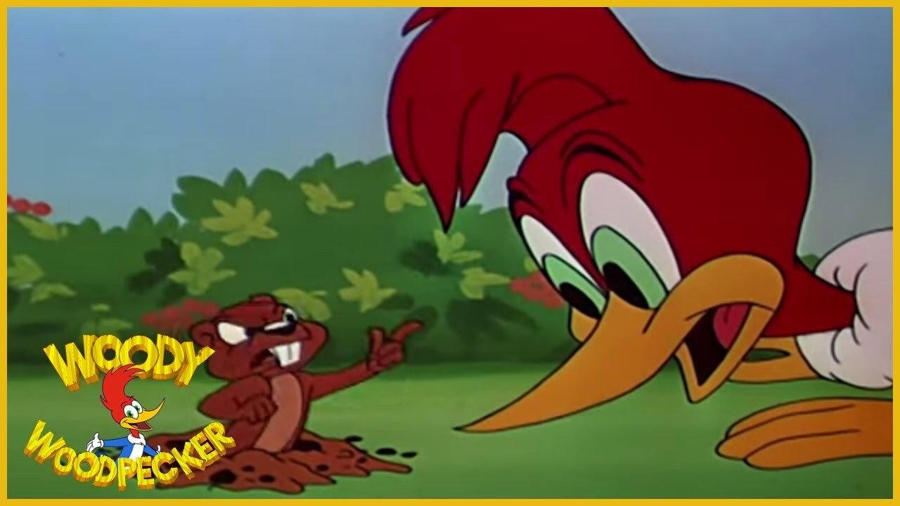Wicket Wacky 1951 movie scene