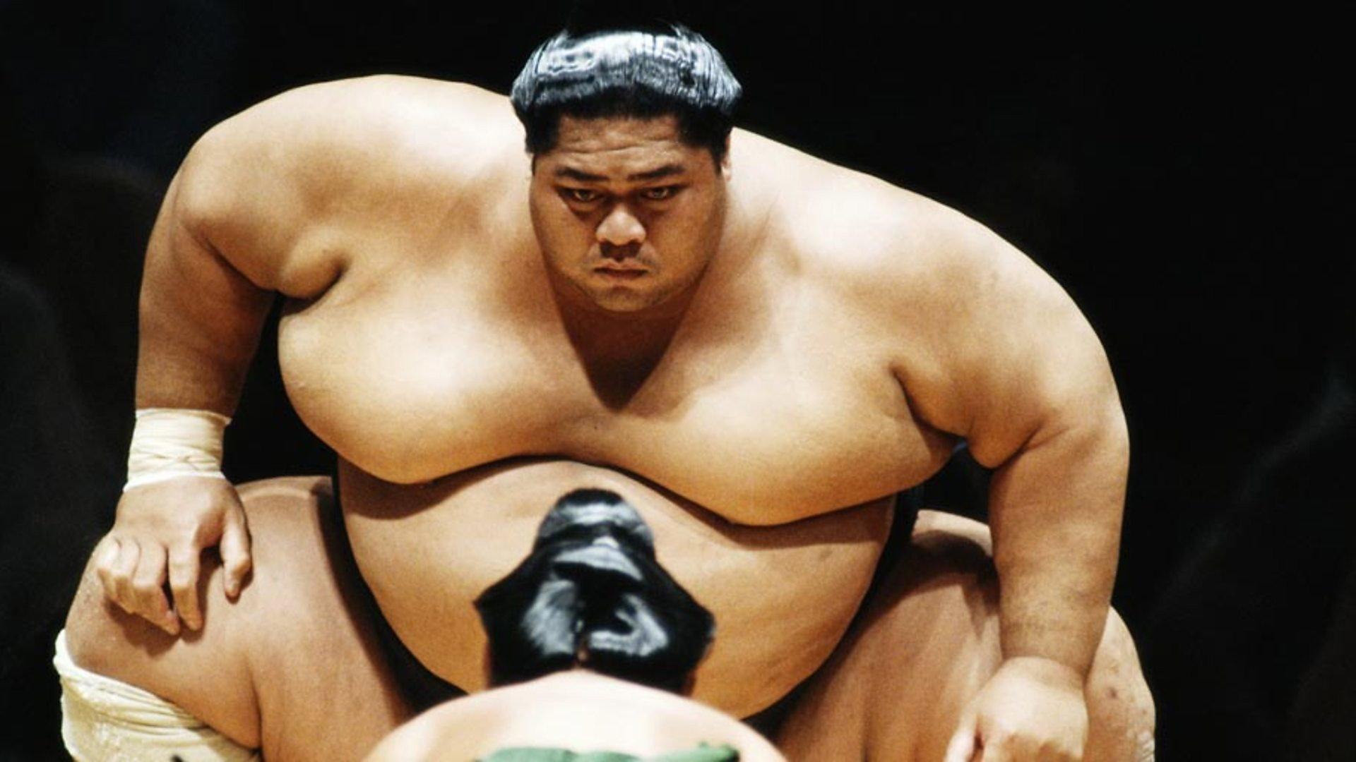 National Geographic: Inside Sumo's Ultimate Clash 2008 movie scene