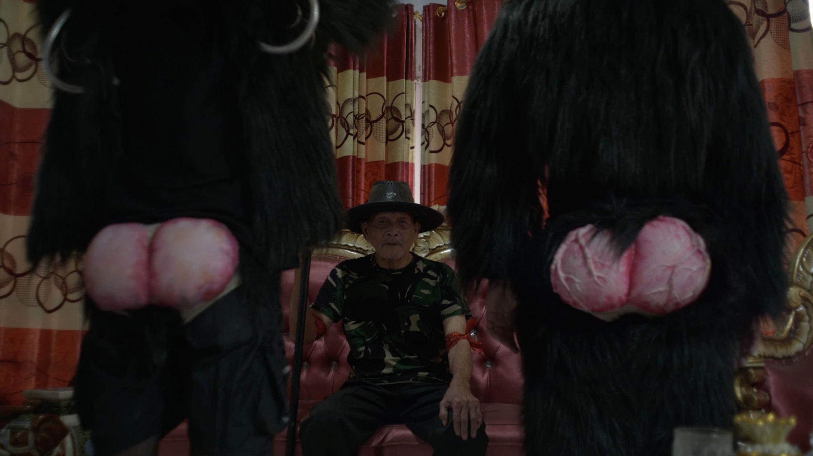 Primate Visions; Macaque Macabre 2025 movie scene