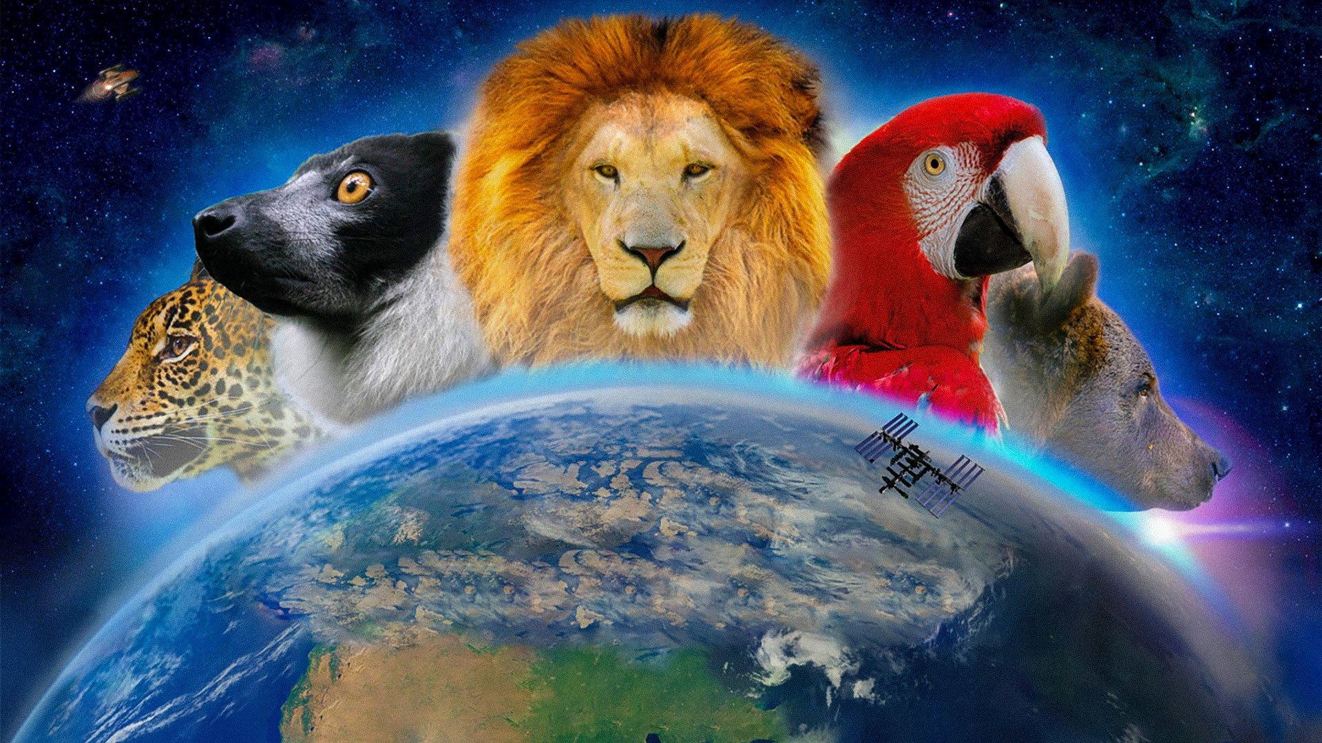 Wonderful World 3D 2014 movie scene