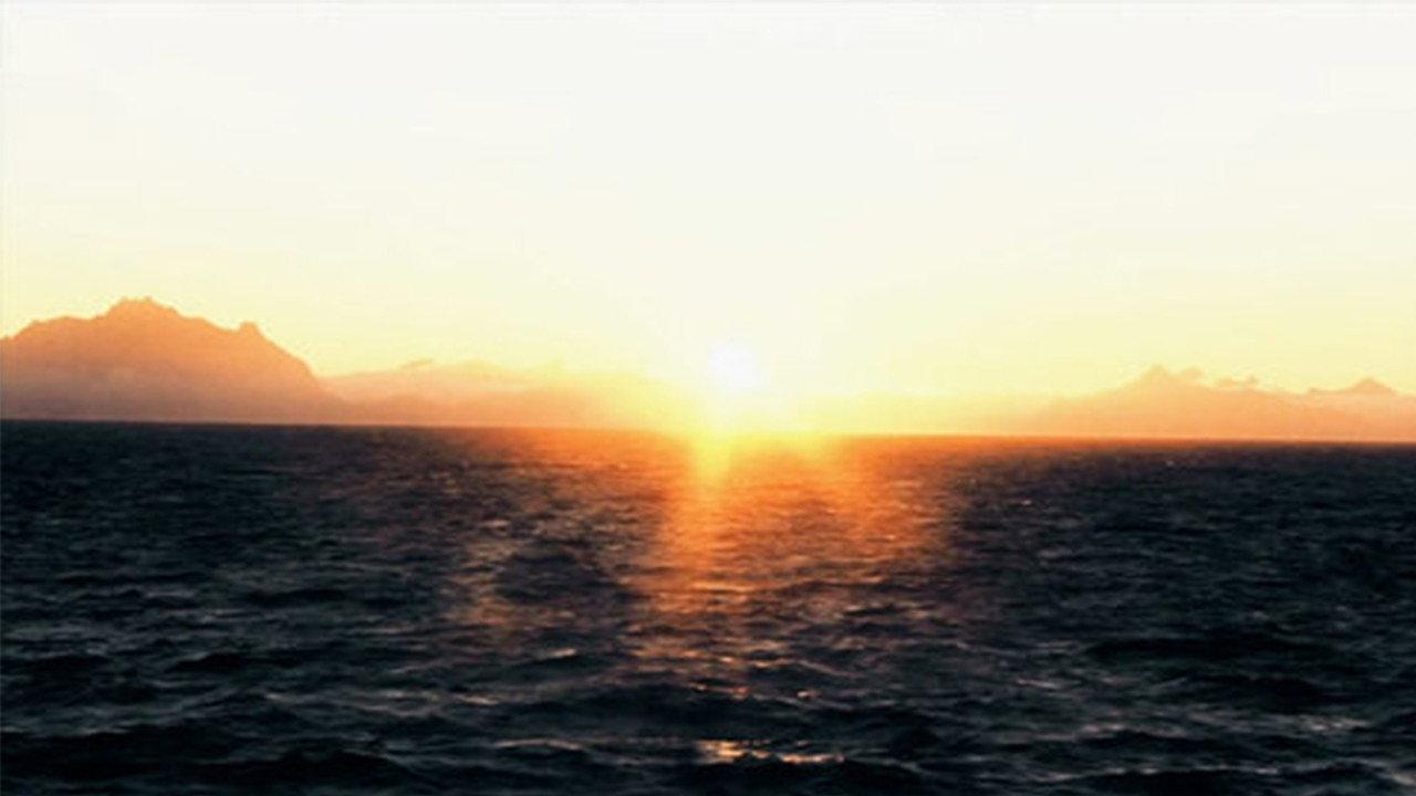 Temporal Properties of the World: Order 2011 movie scene