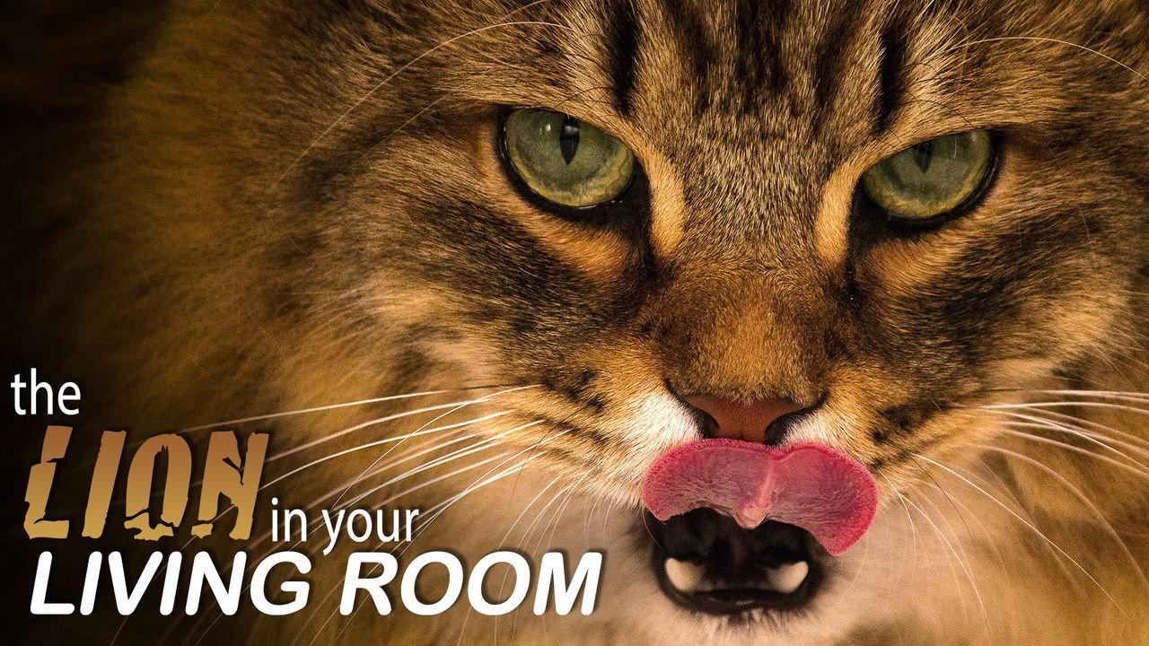 The Lion In Your Living Room 2015 movie scene