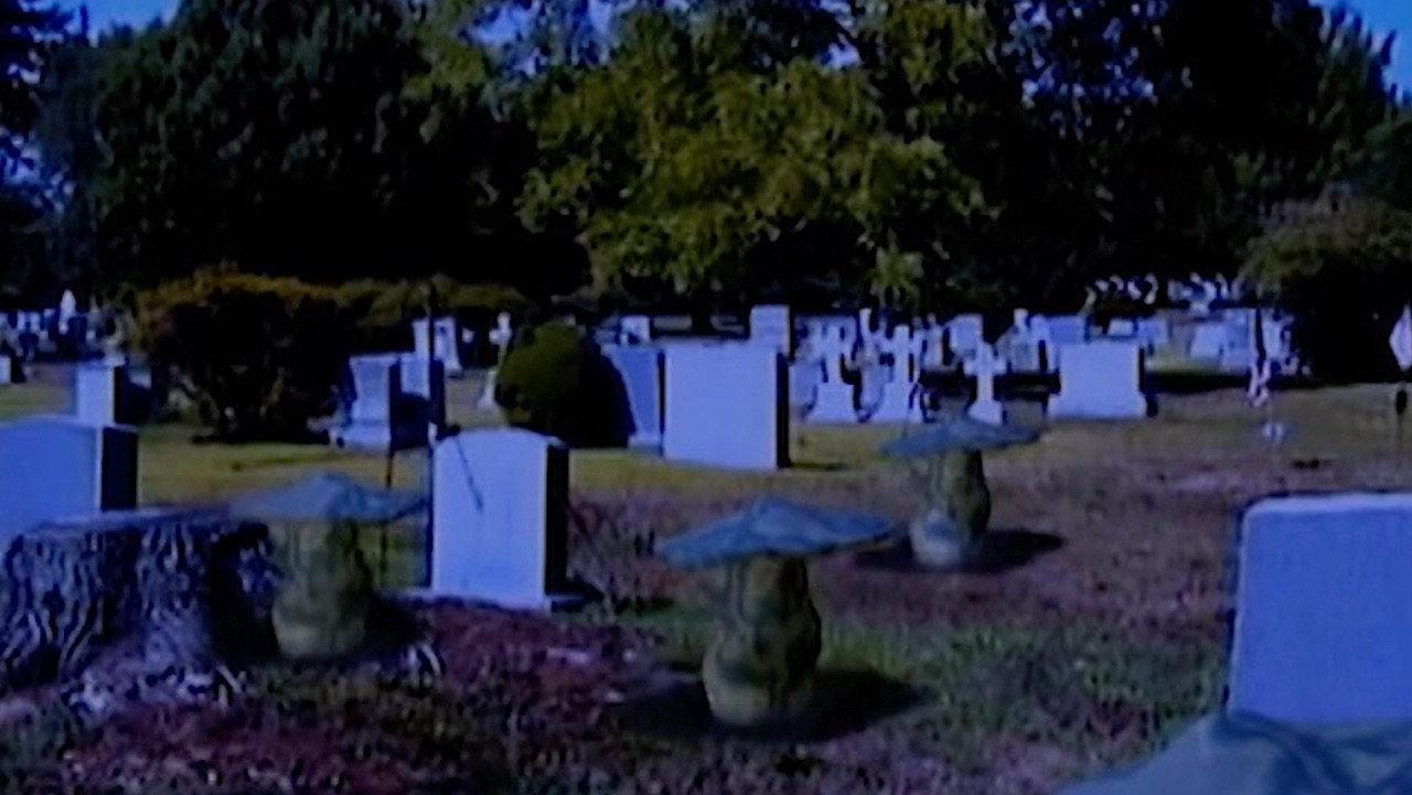 Fungicide 2002 movie scene