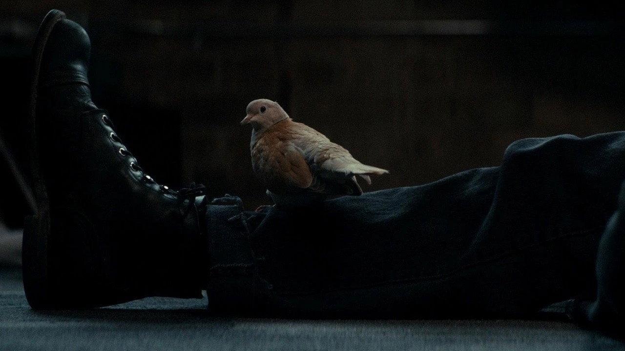 Ring Neck 2024 movie scene