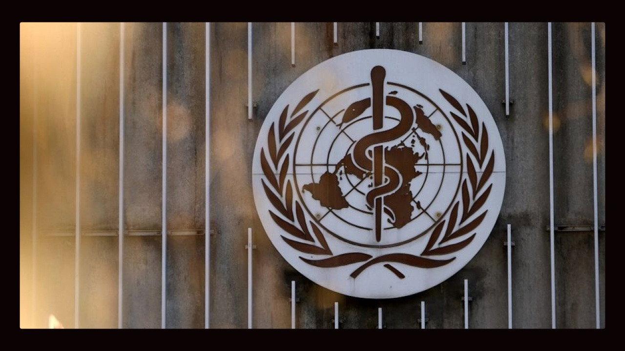 Die WHO - Im Griff der Lobbyisten? 2017 movie scene
