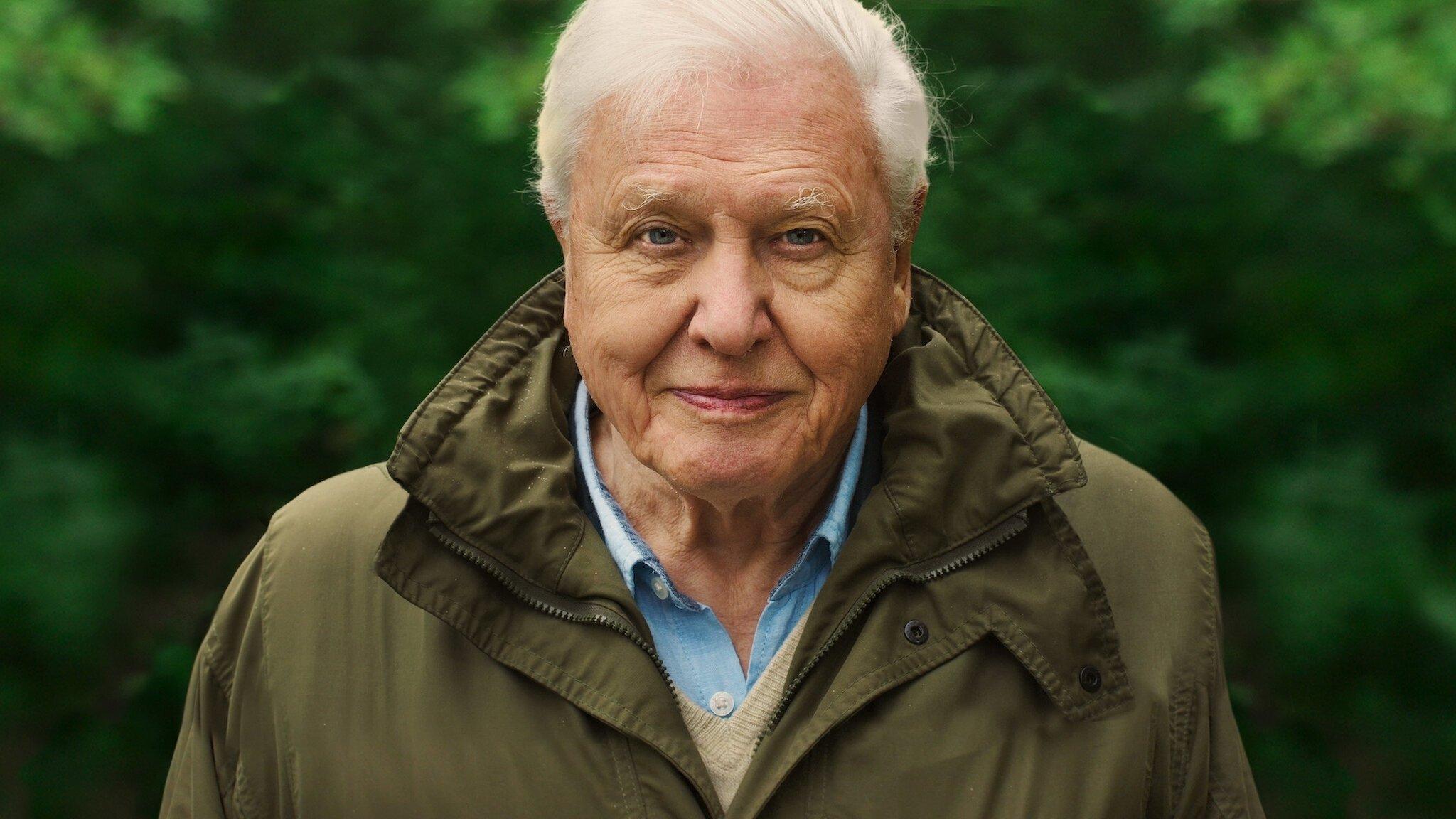 David Attenborough: A Life on Our Planet 2020 movie scene