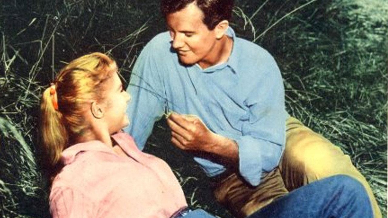 April Love 1957 movie scene