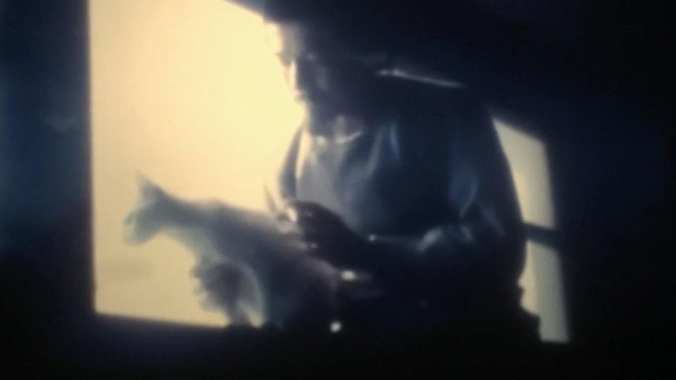 Night Window 1978 movie scene