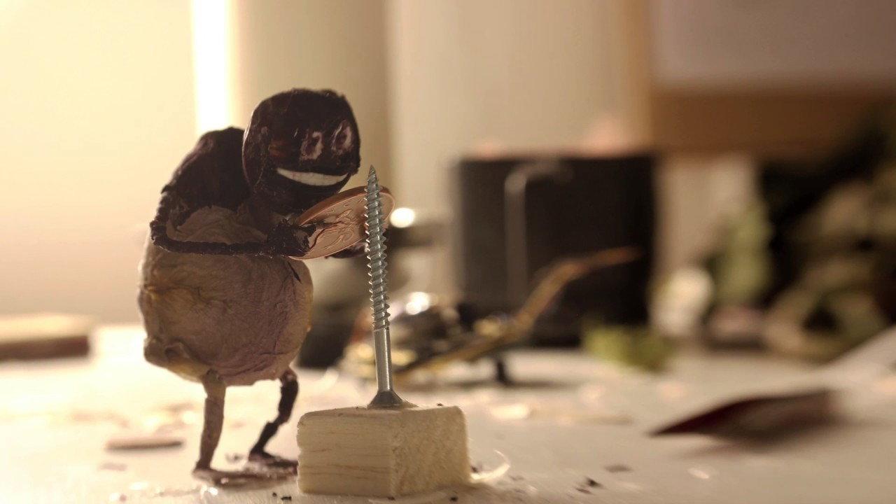 Stems 2015 movie scene