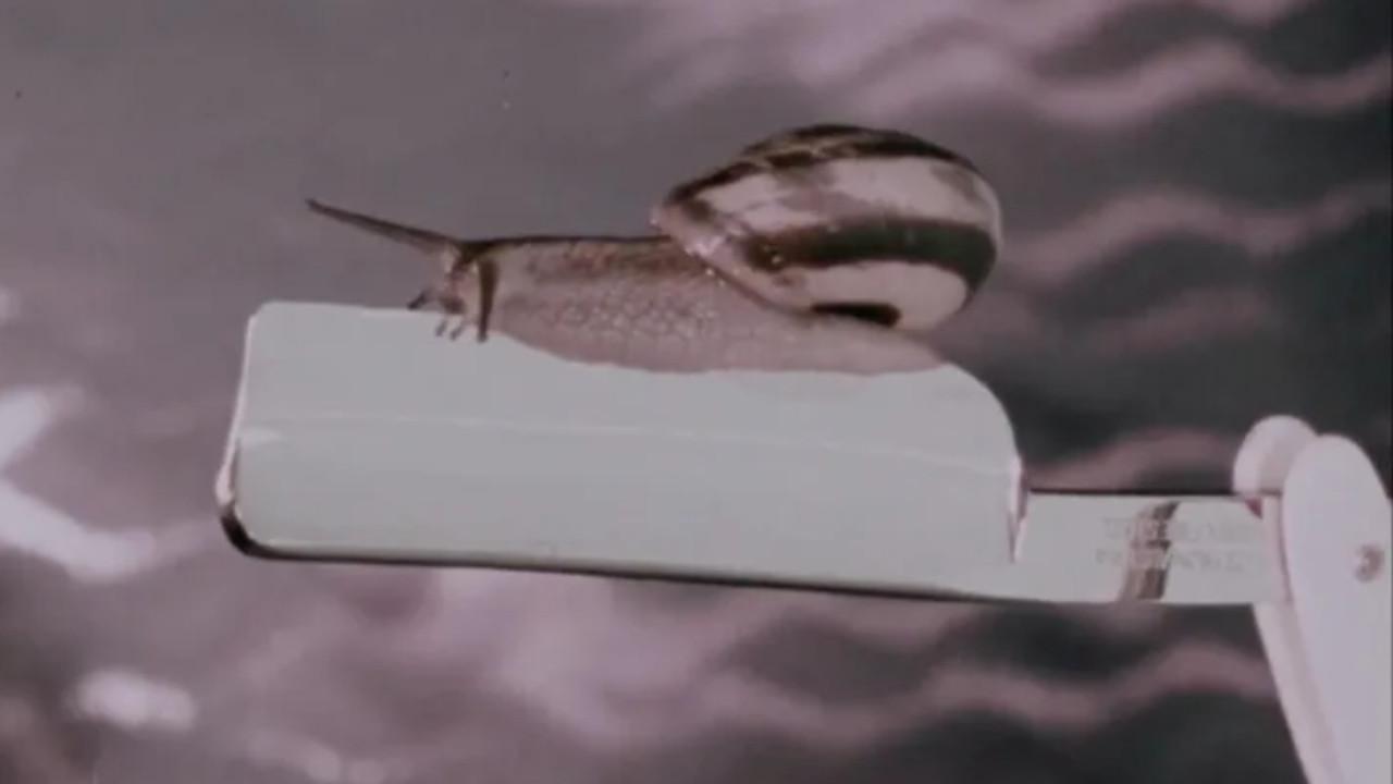 Ultramint 1980 movie scene