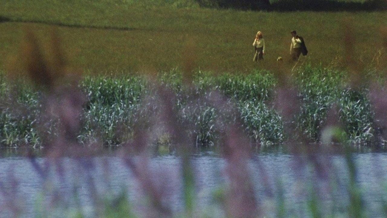 Here We Go Round the Mulberry Bush 1968 movie scene