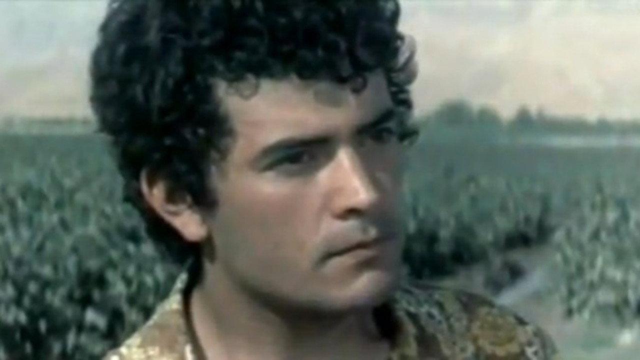 One Life is Not Enough 1974 movie scene